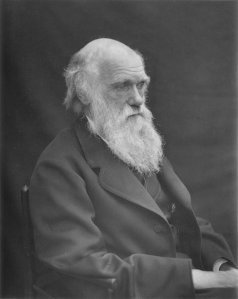 1878_darwin_photo_by_leonard_from_woodall_1884_-_cropped_grayed_partially_cleaned