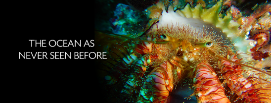 14937476_1802957599925603_2570087277322725126_n