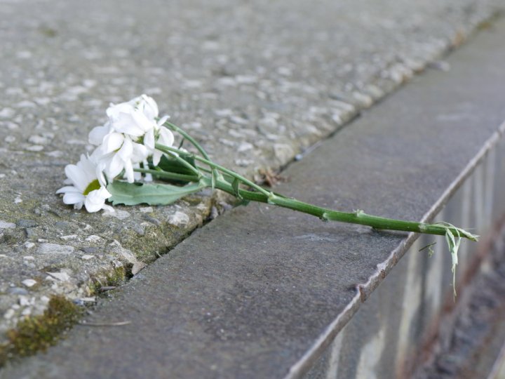 white_flower_by_skylarpl-dbaep4h