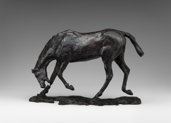 Horse with Head Lowered.jpg