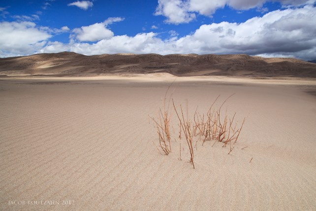 thirsty_for_life_by_jacob_routzahn_4386-d4y5ctd