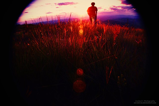 c7ed61c5e62255cd1cf08b783ccc4f4a-d3c692p