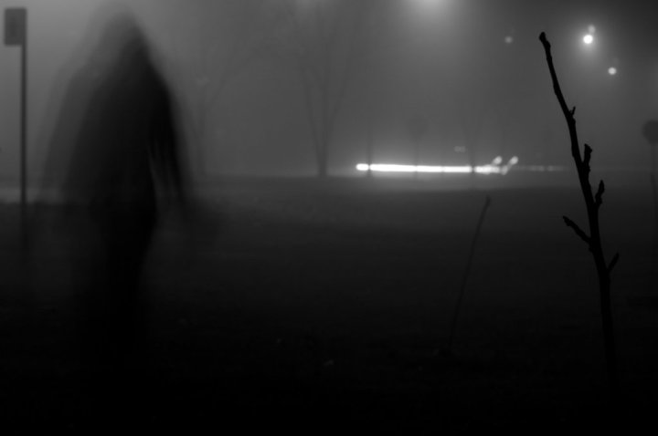 her_ghost_in_the_fog___bnw_by_countofsorrow.jpg