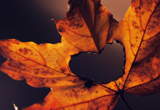 love_the_way____you_lie_by_kissadam-d30bfz1