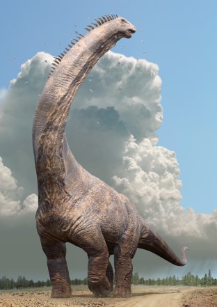 Dinosaurs Alamosaurus