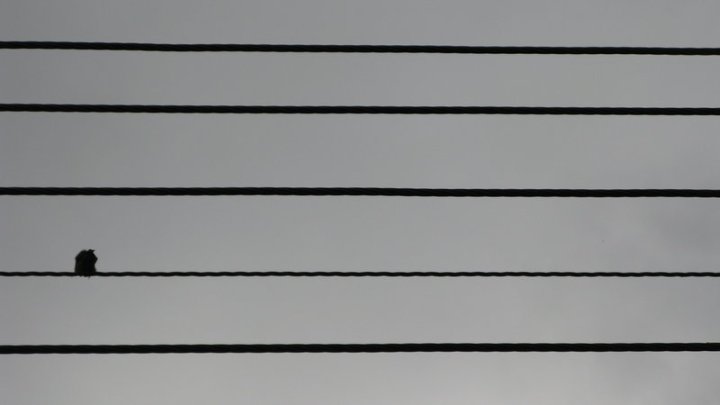 on_the_wire_by_blackodc