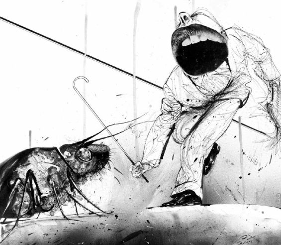 1448031144_524187_1448031627_album_normal