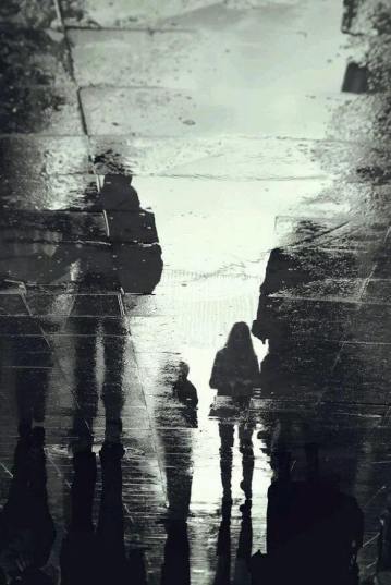 28740987_2018853835030150_807265838_n