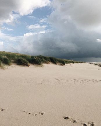 819d7650740d3d32ecede4072ce6e193