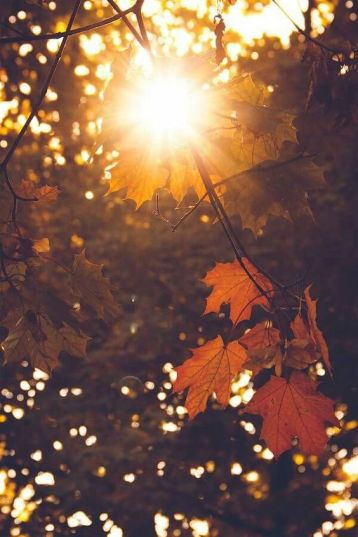 fe0cb9b69c002ad52ae157f02bb0f8ef